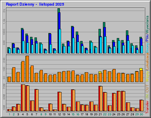 Raport Dzienny -  listopad 2025