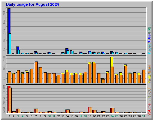 Raport Dzienny - sierpień 2024 Raport Dzienny - sierpień 2024