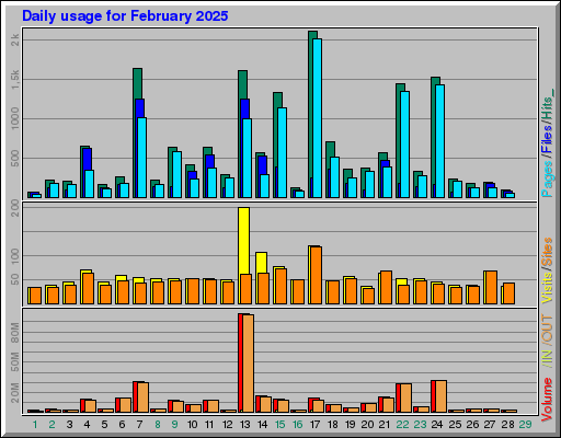 Raport Dzienny -  luty 2025