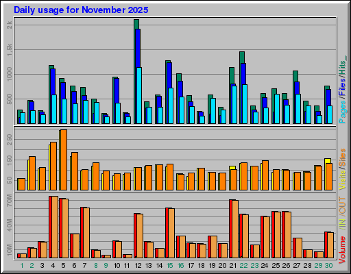 Raport Dzienny -  listopad 2025