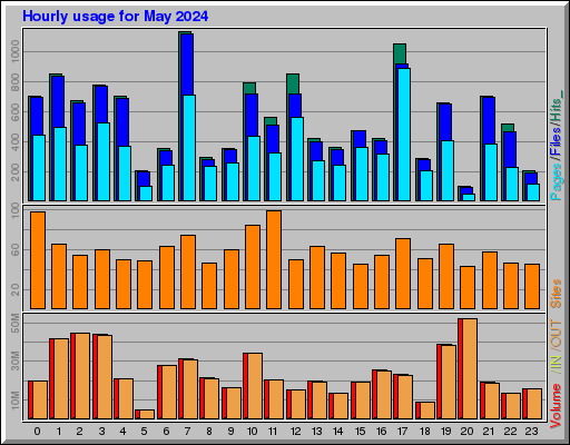 Raport Godzinowy -  Maj 2024