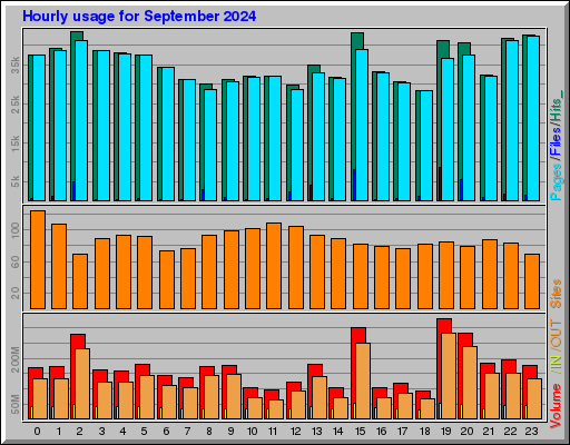 Raport Godzinowy -  wrzesień 2024