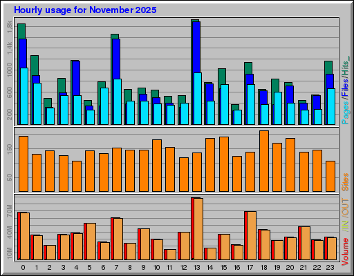 Raport Godzinowy -  listopad 2025