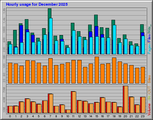 Raport Godzinowy -  grudzień 2025