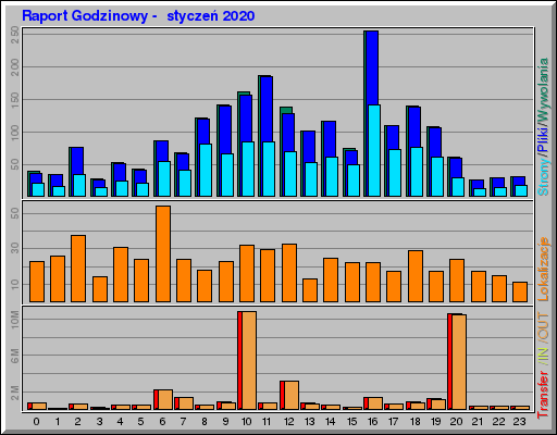 Raport Godzinowy -  styczeń 2020
