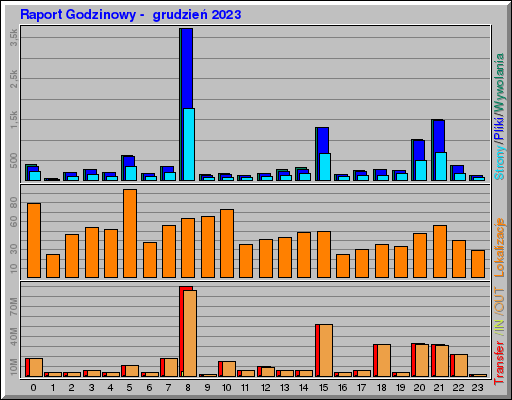 Raport Godzinowy -  grudzień 2023