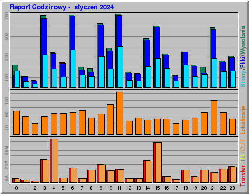 Raport Godzinowy -  styczeń 2024