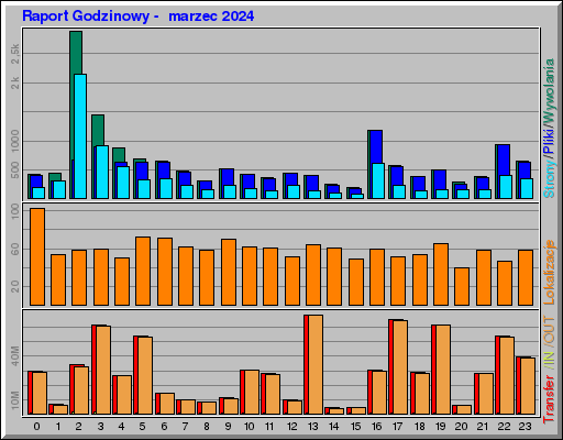 Raport Godzinowy -  marzec 2024