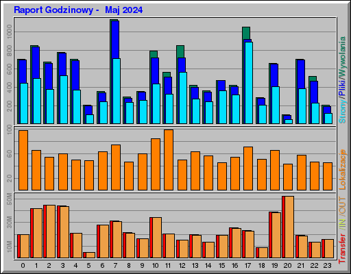 Raport Godzinowy -  Maj 2024