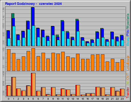Raport Godzinowy -  czerwiec 2024