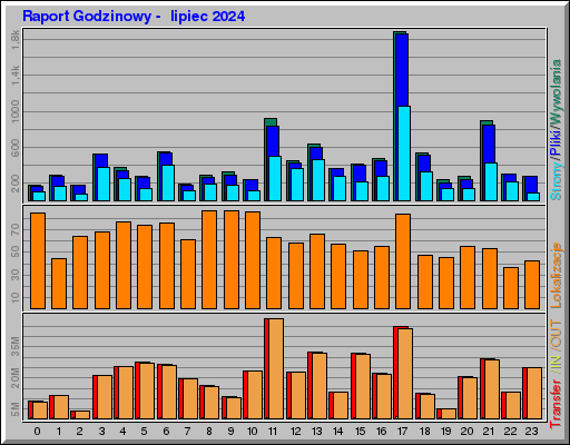 Raport Godzinowy -  lipiec 2024