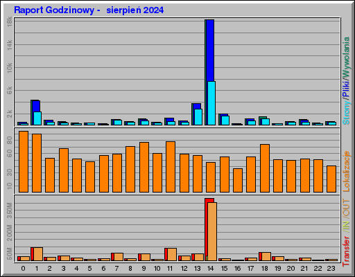 Raport Godzinowy -  sierpień 2024