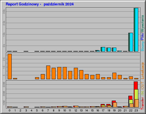 Raport Godzinowy -  październik 2024