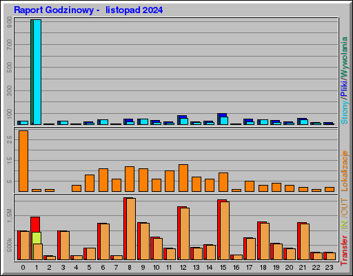 Raport Godzinowy -  listopad 2024