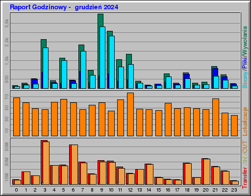 Raport Godzinowy -  grudzień 2024