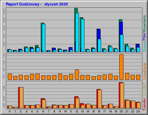 Raport Godzinowy -  styczeń 2025