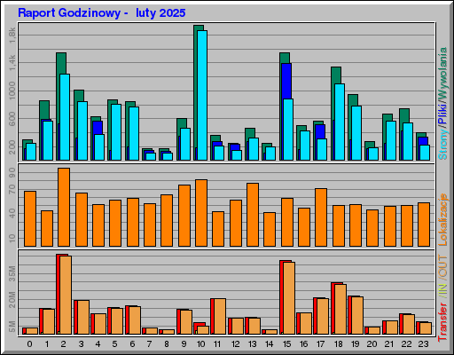 Raport Godzinowy -  luty 2025