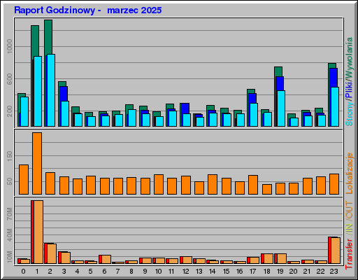 Raport Godzinowy -  marzec 2025