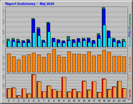 Raport Godzinowy -  Maj 2025