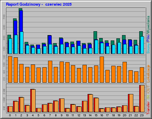 Raport Godzinowy -  czerwiec 2025