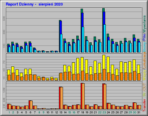 Raport Dzienny -  sierpień 2020