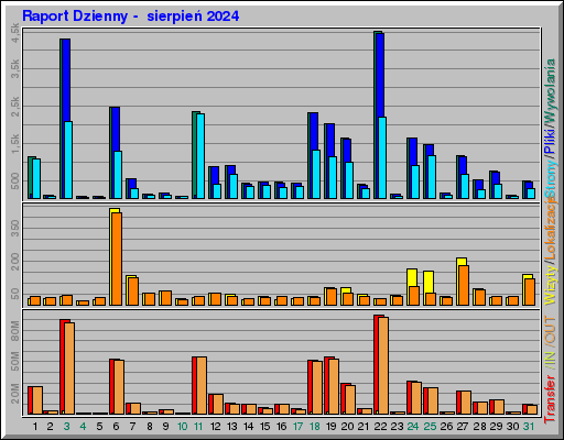 Raport Dzienny -  sierpień 2024