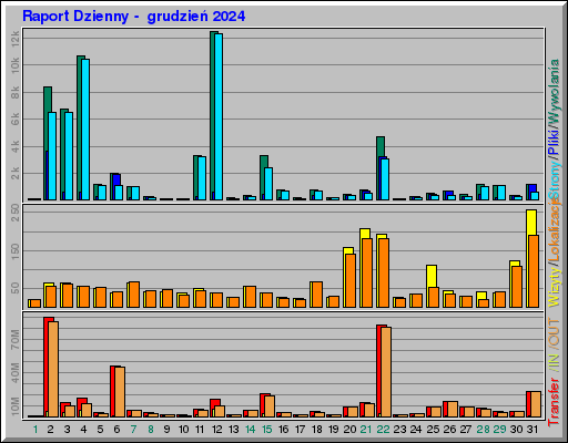Raport Dzienny - grudzieĹ 2024 Raport Dzienny - grudzieĹ 2024