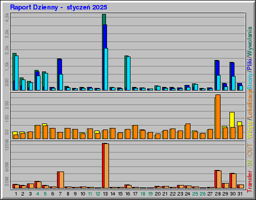 Raport Dzienny - styczeĹ 2025 Raport Dzienny - styczeĹ 2025