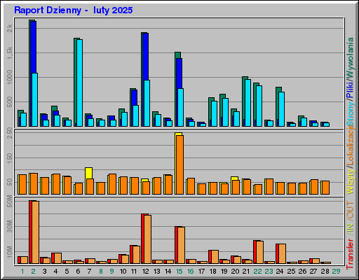 Raport Dzienny - luty 2025 Raport Dzienny - luty 2025