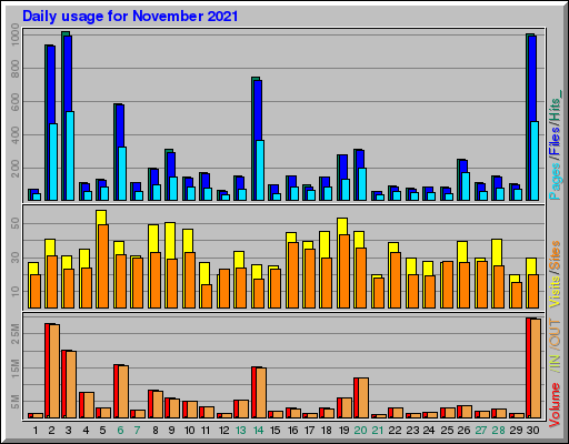 Raport Dzienny -  listopad 2021