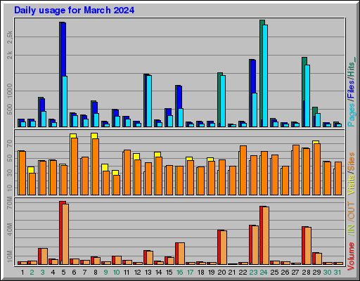 Raport Dzienny -  marzec 2024