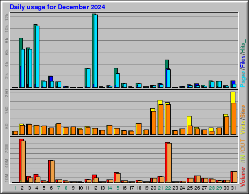 Raport Dzienny -  grudzień 2024