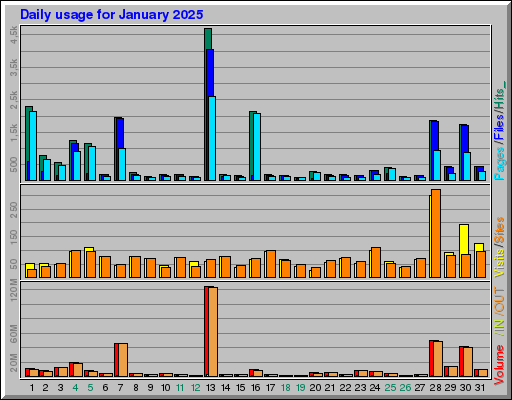 Raport Dzienny -  styczeń 2025