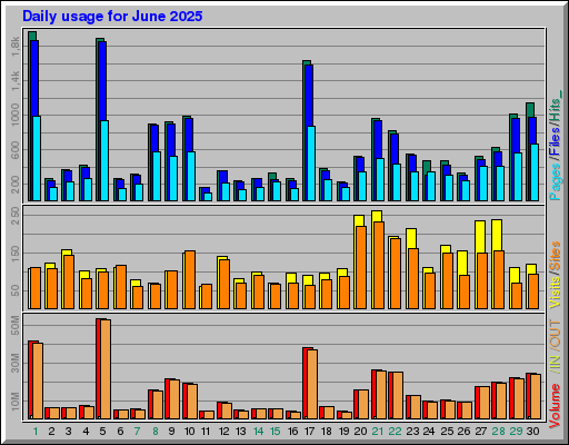 Raport Dzienny -  czerwiec 2025
