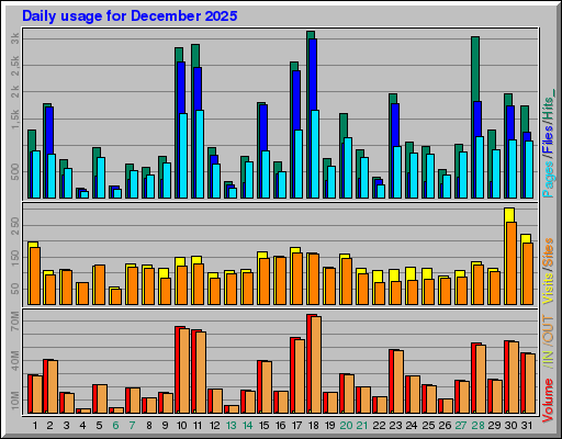 Raport Dzienny -  grudzień 2025
