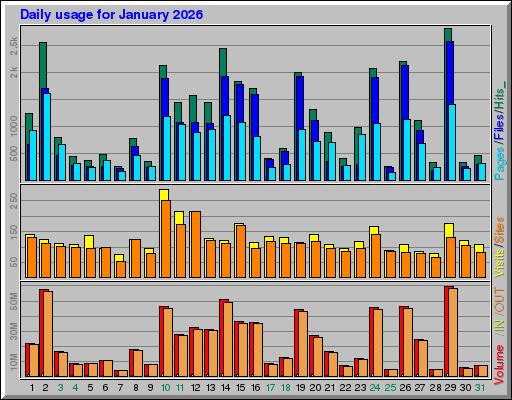 Raport Dzienny -  styczeń 2026