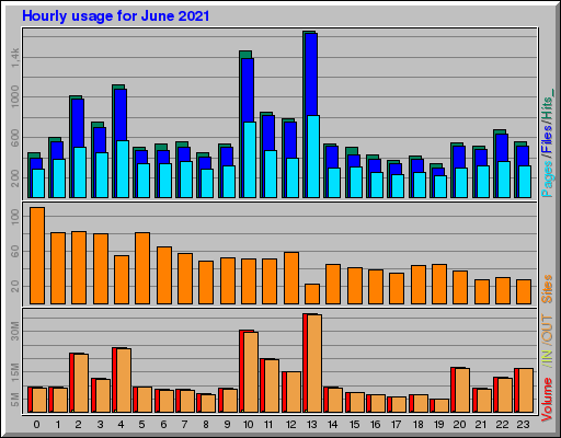 Raport Godzinowy -  czerwiec 2021
