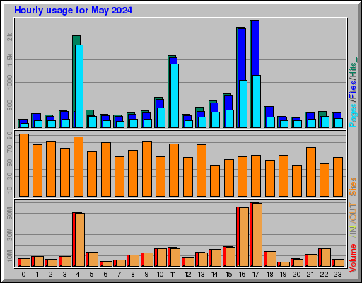 Raport Godzinowy -  Maj 2024