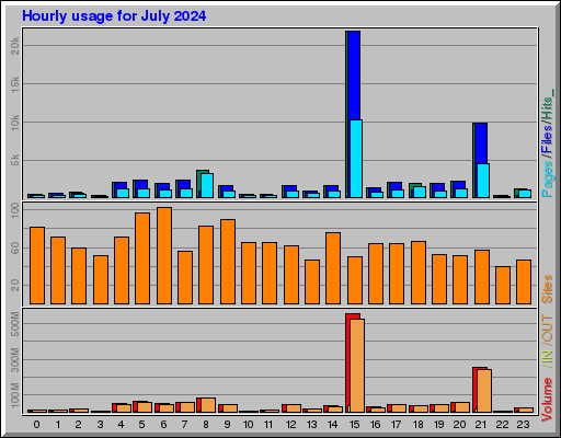 Raport Godzinowy -  lipiec 2024