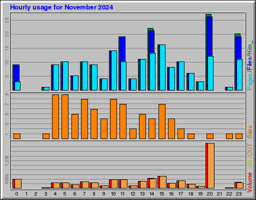 Raport Godzinowy -  listopad 2024