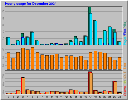 Raport Godzinowy -  grudzień 2024