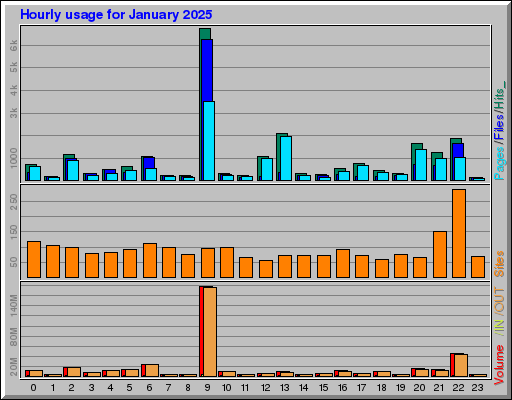 Raport Godzinowy -  styczeń 2025