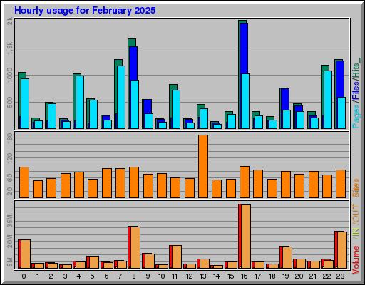 Raport Godzinowy -  luty 2025