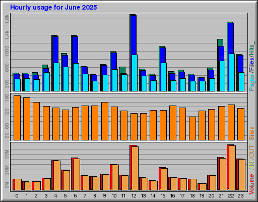 Raport Godzinowy -  czerwiec 2025