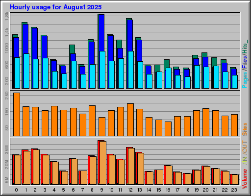 Raport Godzinowy -  sierpień 2025