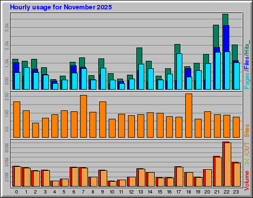 Raport Godzinowy -  listopad 2025