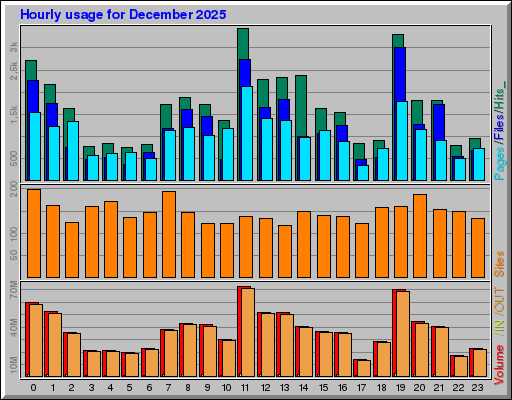 Raport Godzinowy -  grudzień 2025