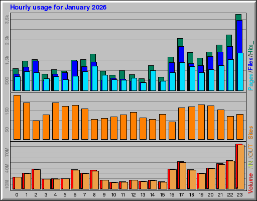 Raport Godzinowy -  styczeń 2026