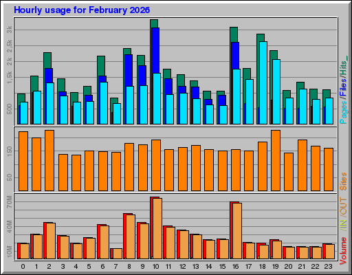 Raport Godzinowy -  luty 2026