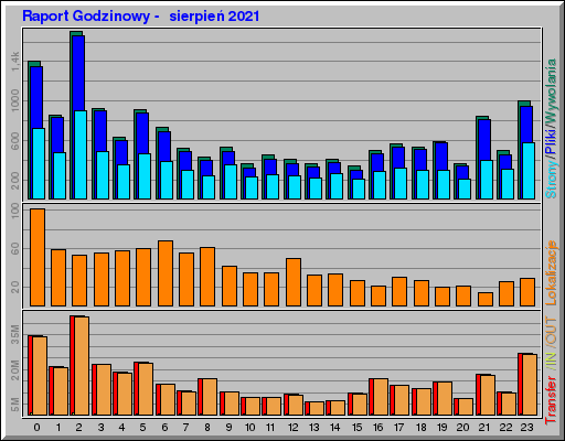 Raport Godzinowy -  sierpień 2021